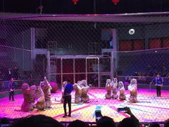 -西安秦岭野生动物园