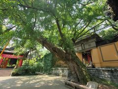 -无锡惠山寺