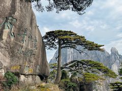 -黄山风景区