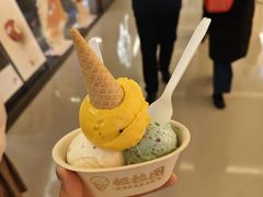 -极拉图·现制冰淇淋(大卫城店)