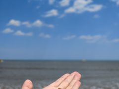 -日照海滨国家森林公园