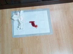 -爱派特动物医院·全科诊疗中心