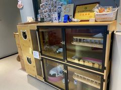 -御宝贝·A梦猫科宠物医院(国际猫友好医院)