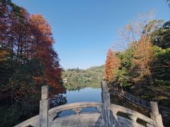 -深圳仙湖植物园