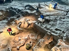 -自贡恐龙博物馆