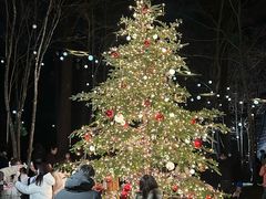 -Bleston Court Yukawatan