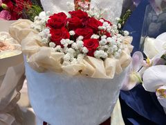 -溪岸路花鸟市场