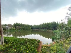 -呈贡滇池生态湿地公园