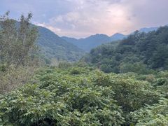 -玉渡山自然风景区