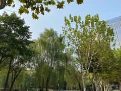 -后襄河公园