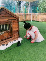 -萌宠亲子动物乐园(槐房万达店)