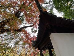 -秋霞圃
