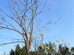 -火炉山森林公园