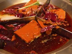 -叁口煮老火锅(东升店)