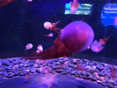 -多彩贵州城极地海洋世界