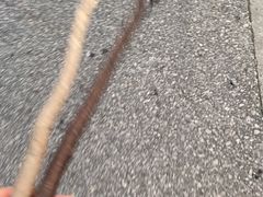 -贡湖湾湿地公园