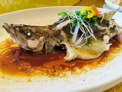 -金迎海鲜酒家(金凤凰广场店)