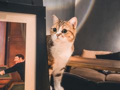 -咖法森林·咖啡  酒吧(天河店)