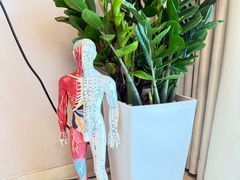 -修申骨雕小颜脊柱骨盆管理产后修复