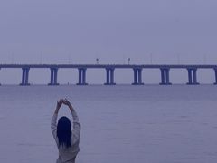 -宝安西湾红树林湿地公园