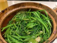 虾酱嗜通心菜-煲煲好(朝阳门店)
