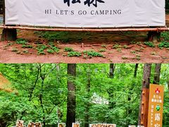 -关门山森林公园