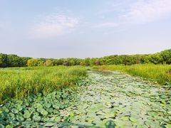 -同里国家湿地公园