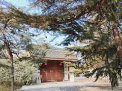-北京世界公园