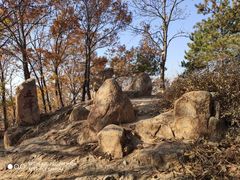 -遵化市禅林寺古银杏风景园