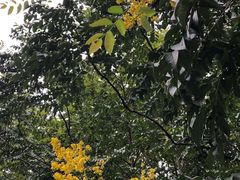 -白塘生态植物园