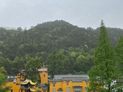 -九华山聚龙大酒店