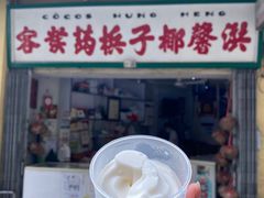 -洪馨椰子