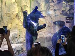 -波塞冬旅游度假区