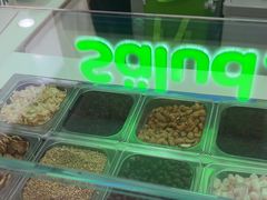 -Salud撒露欧洲冻酸奶(五道口购物中心店)