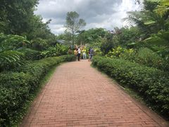 -西双版纳勐泐文化旅游区