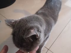 -平行世界·猫咖(首经贸店)