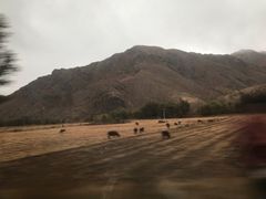 -西拉沐沦大峡谷园区