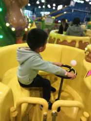 -维佳童话镇演出现场(徐东店)