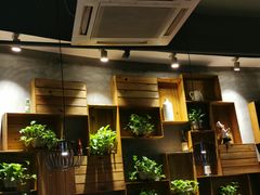 -比格比萨自助(花园路店)