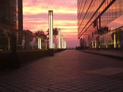 -香港皇家太平洋酒店