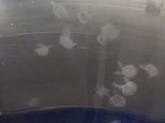 -恒大世纪梦幻城