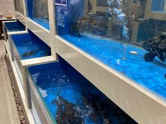 水产区-双井轩(双井店)