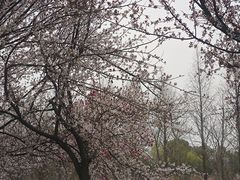 -南湖湿地公园