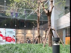 -星巴克(上海虹桥新天地二店)