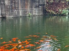 -千岛湖东南湖区