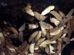 -德叔阙里·衢州菜馆(月湖店)