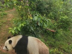 -泉州海丝野生动物世界