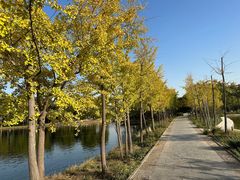 -石家庄市植物园