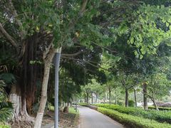 -五缘湾湿地公园