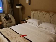 -长沙小天鹅戴斯酒店